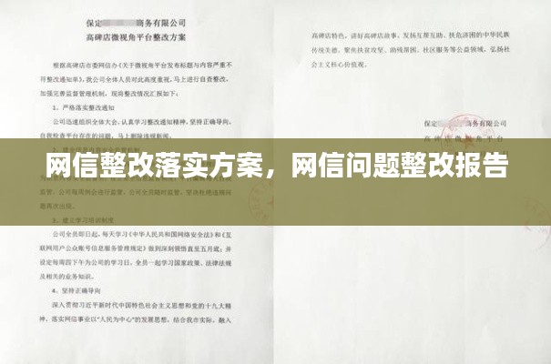 网信整改落实方案,网信问题整改报告