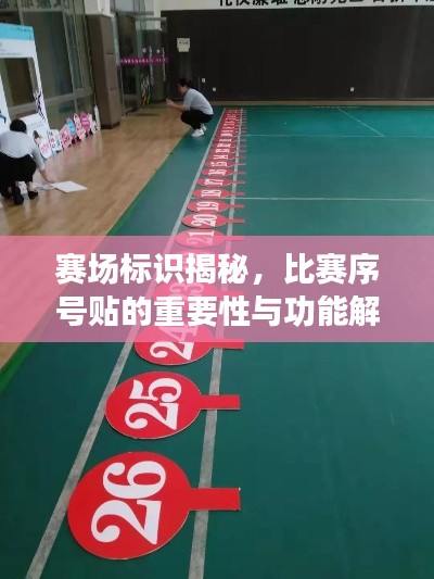 赛场标识揭秘，比赛序号贴的重要性与功能解析