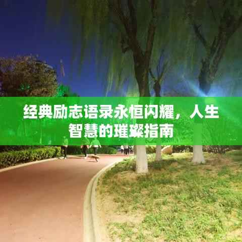 经典励志语录永恒闪耀,人生智慧的璀璨指南