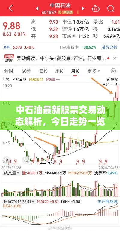 中石油最新股票交易动态解析,今日走势一览