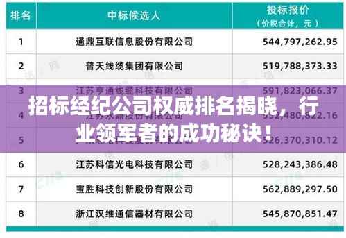 招标经纪公司权威排名揭晓,行业领军者的成功秘诀!