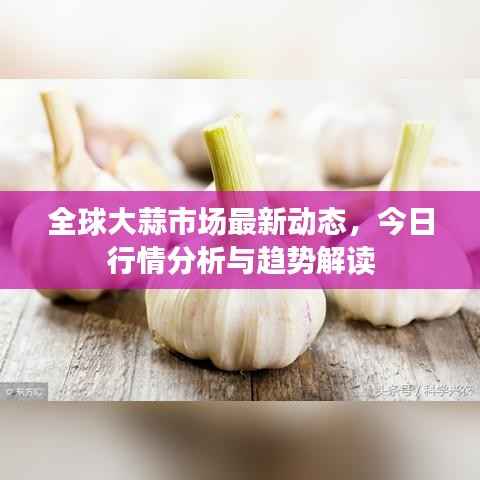 降贵纡尊 第3页