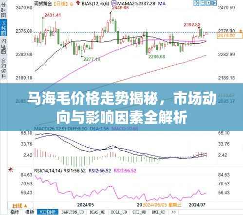 马海毛价格走势揭秘，市场动向与影响因素全解析