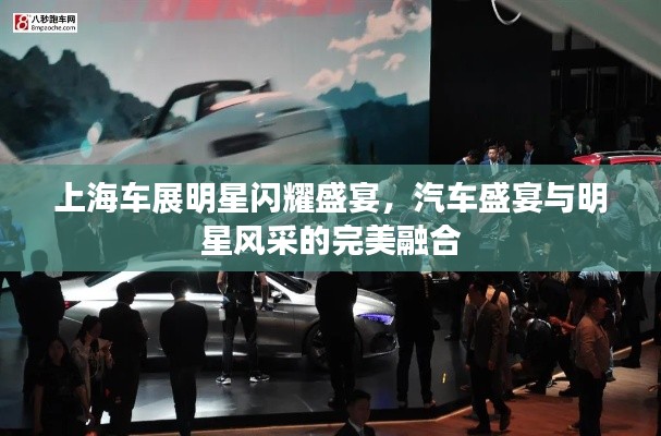 上海车展明星闪耀盛宴,汽车盛宴与明星风采的完美融合